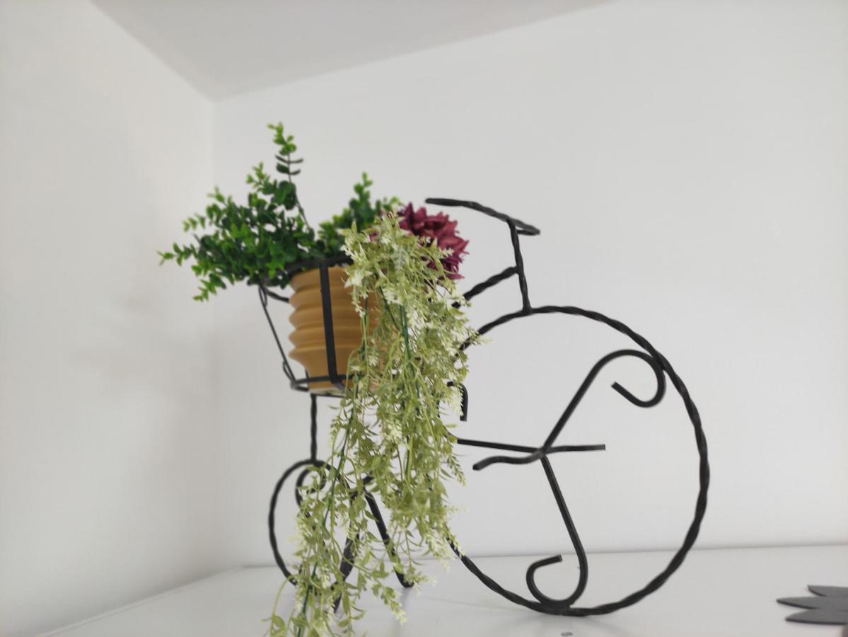 Apartman Iris S Terasom Rijeka Buitenkant foto